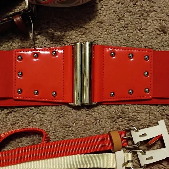 Random Belt Collection - Picture 4 of 6